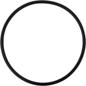 O RING on a white background in black color